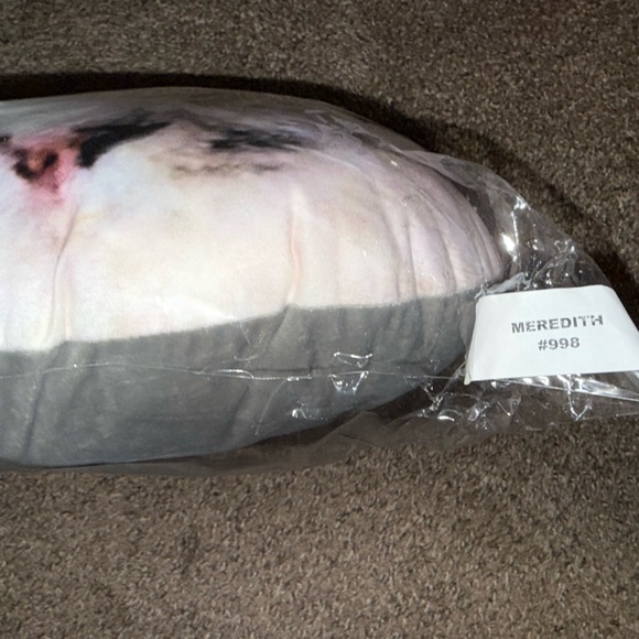 Official Meredith Swift cat pillow NWT - Picture 4 of 4